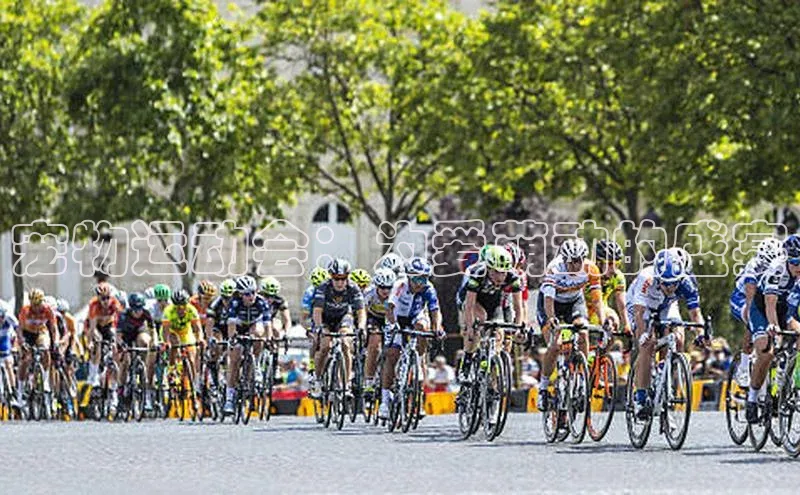 耀世平台登录官网